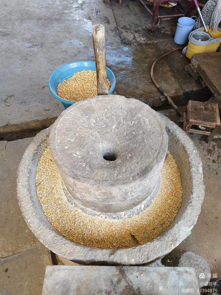 详细阅读:哈磨(哈磨皮草能和白蒿能一起泡水喝吗) 哈磨(哈磨皮草能和白蒿能一起泡水喝吗)